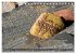 Om Mani Padme Hum - Mantra des... - Bild 15