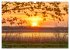 Sonnenuntergänge an Ostseeküste und... - Bild 12