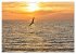 Sonnenuntergänge an Ostseeküste und... - Bild 3