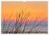 Sonnenuntergänge an Ostseeküste und... - Bild 8