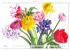 Blumenlust (Wandkalender 2026 DIN A4... - Bild 13