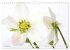 Blumenlust (Wandkalender 2026 DIN A4... - Bild 5