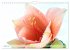 Blumenlust (Wandkalender 2026 DIN A4... - Bild 7