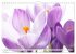 Blumenlust (Wandkalender 2026 DIN A4... - Bild 8