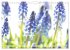 Blumenlust (Wandkalender 2026 DIN A4... - Bild 9