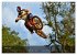 Motocross - Adrenalin pur... - Bild 11