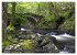 Naturwunder Wales (hochwertiger Premium... - Bild 6
