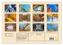 Oben - Bilder aus der Froschperspektive... - Bild 5