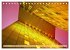 Oben - Bilder aus der Froschperspektive... - Bild 11