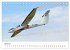 Die Faszination. Flugzeuge am Himmel... - Bild 10