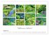 Heidelberg Fotocollagen (Wandkalender... - Bild 14