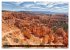 Wilder Westen USA (Wandkalender 2026... - Bild 7