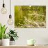 Max Dauthendey - Mit der Natur durchs... - Bild 2