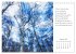 Max Dauthendey - Mit der Natur durchs... - Bild 8