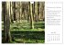Max Dauthendey - Mit der Natur durchs... - Bild 9