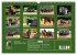 Schwere Warmblüter 2026 (Wandkalender... - Bild 6