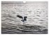 Kanada - short visit (Wandkalender 2026... - Bild 3