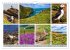 Sehnsucht Wales - Collagen eines Landes... - Bild 9