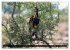 Marokko total (hochwertiger Premium... - Bild 9