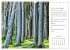 Max Dauthendey - Mit der Natur durchs... - Bild 11