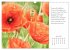 Max Dauthendey - Mit der Natur durchs... - Bild 12