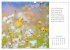 Max Dauthendey - Mit der Natur durchs... - Bild 13