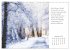 Max Dauthendey - Mit der Natur durchs... - Bild 5