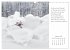 Max Dauthendey - Mit der Natur durchs... - Bild 7
