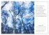 Max Dauthendey - Mit der Natur durchs... - Bild 8
