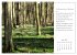Max Dauthendey - Mit der Natur durchs... - Bild 9