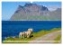 Die Lofoten - Eine Bilder-Reise... - Bild 12