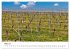 Weinkalender (hochwertiger Premium... - Bild 8