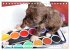 Bolonka Babykalender 2026... - Bild 13