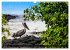 Naturparadies Galapagos - UNESCO... - Bild 3