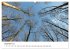 Bad Schwartau (Wandkalender 2026 DIN A2... - Bild 5
