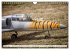 Vielfalt am Fliegerfest (Wandkalender... - Bild 3