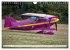 Vielfalt am Fliegerfest (Wandkalender... - Bild 4
