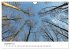Bad Schwartau (Wandkalender 2026 DIN A4... - Bild 5