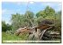 Ein Sommer im Havelland - Spaziergang... - Bild 11