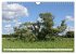 Ein Sommer im Havelland - Spaziergang... - Bild 15