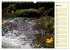 Enten-Rennen (Wandkalender 2026 DIN A3... - Bild 11