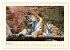 Sibirische Tigerportraits (Wandkalender... - Bild 12
