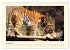 Sibirische Tigerportraits (Wandkalender... - Bild 14