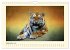 Sibirische Tigerportraits (Wandkalender... - Bild 15