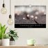 FASZINATION PILZE 2026 (Wandkalender... - Bild 2