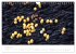 FASZINATION PILZE 2026 (Wandkalender... - Bild 14