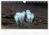 FASZINATION PILZE 2026 (Wandkalender... - Bild 8