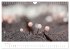 FASZINATION PILZE 2026 (Wandkalender... - Bild 10