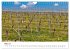 Weinkalender (Wandkalender 2026 DIN A4... - Bild 9