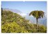 La Réunion - Bergweh ® (hochwertiger... - Bild 10